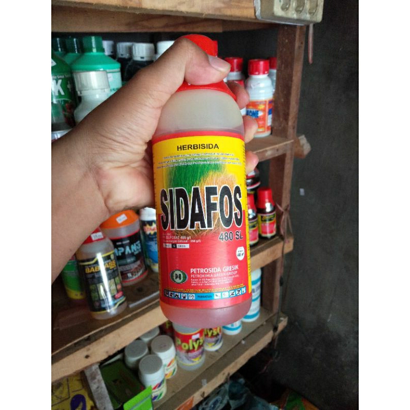 Sidafos 400ml herbisida 480sl
