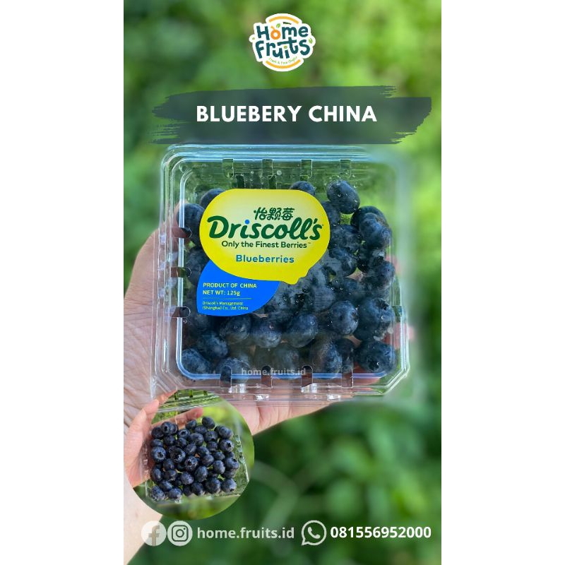 

Blueberry Cina