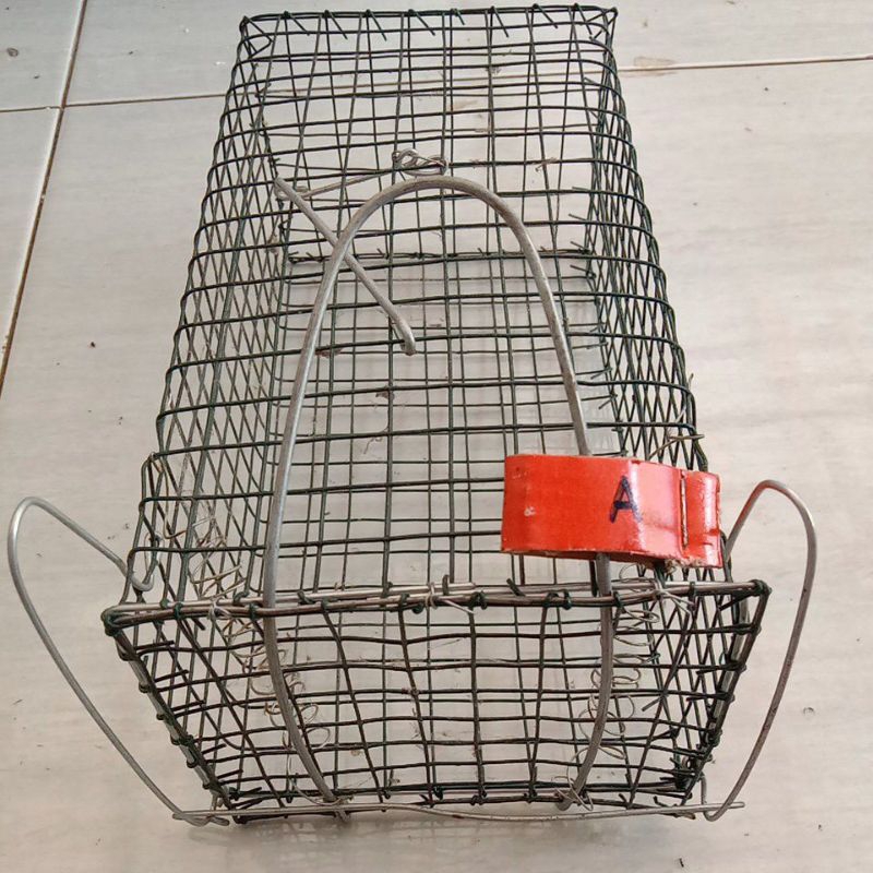 Jebakan tikus dari kawat hijau