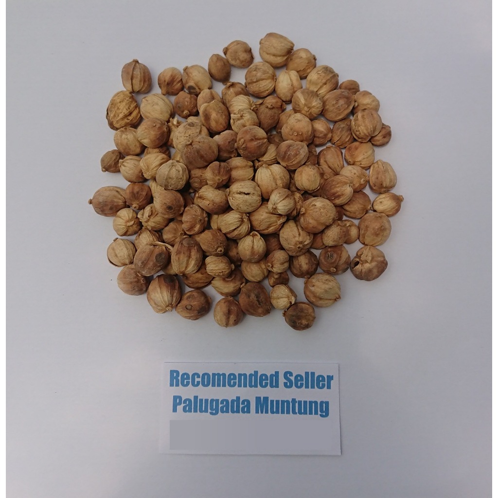 

Kapulaga, Kapol, Cardamon, Rempah, Bumbu Kering, 10 gr