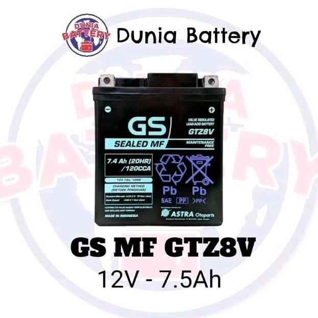 Aki Motor GS MF GTZ8V Original