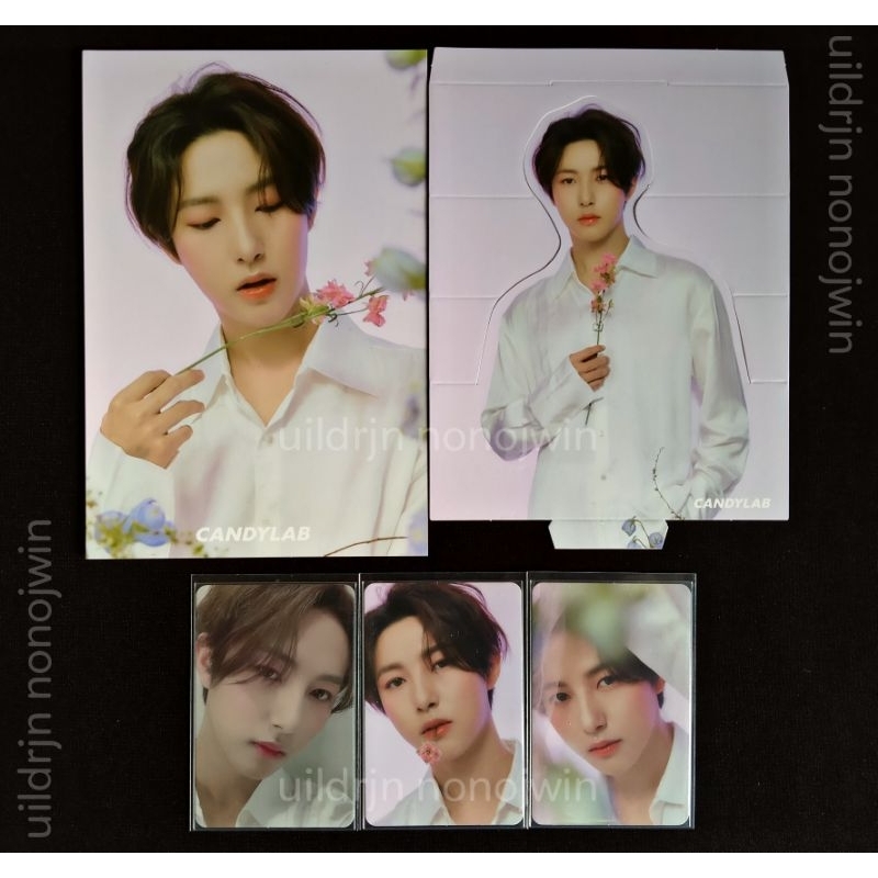 Candylab photocard standee V4 renjun nct dream fullset (pc postcard)