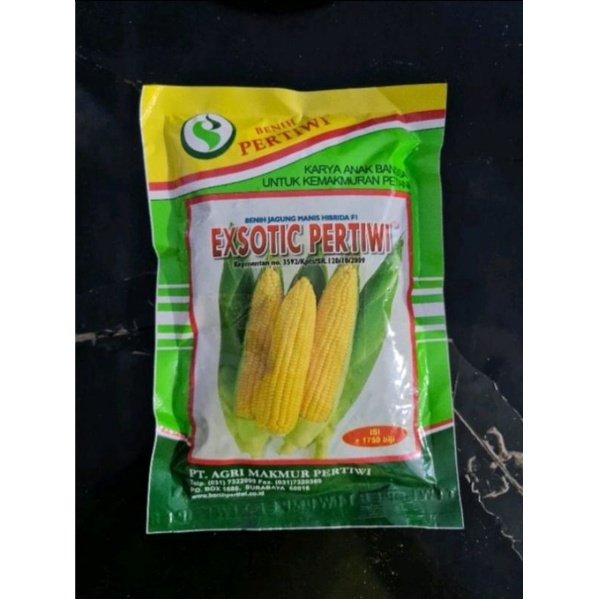 BENIH JAGUNG MANIS EXOTIC PERTIWI 250 GRAM