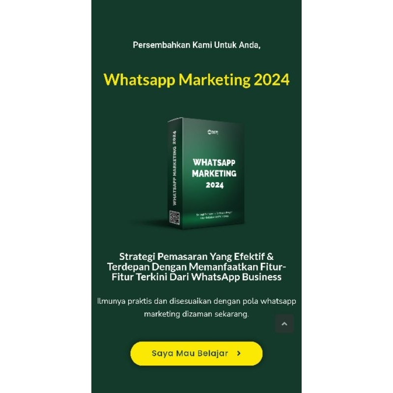WhatsApp Marketing 2024
