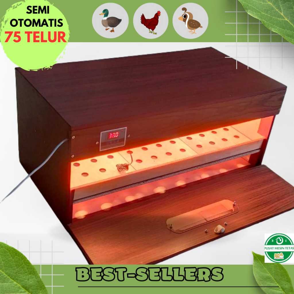 Mesin Penetas Telur Angsa