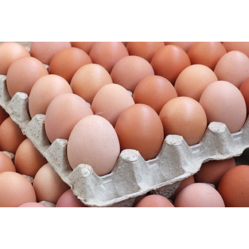 

Telur Ayam Negri per Kg
