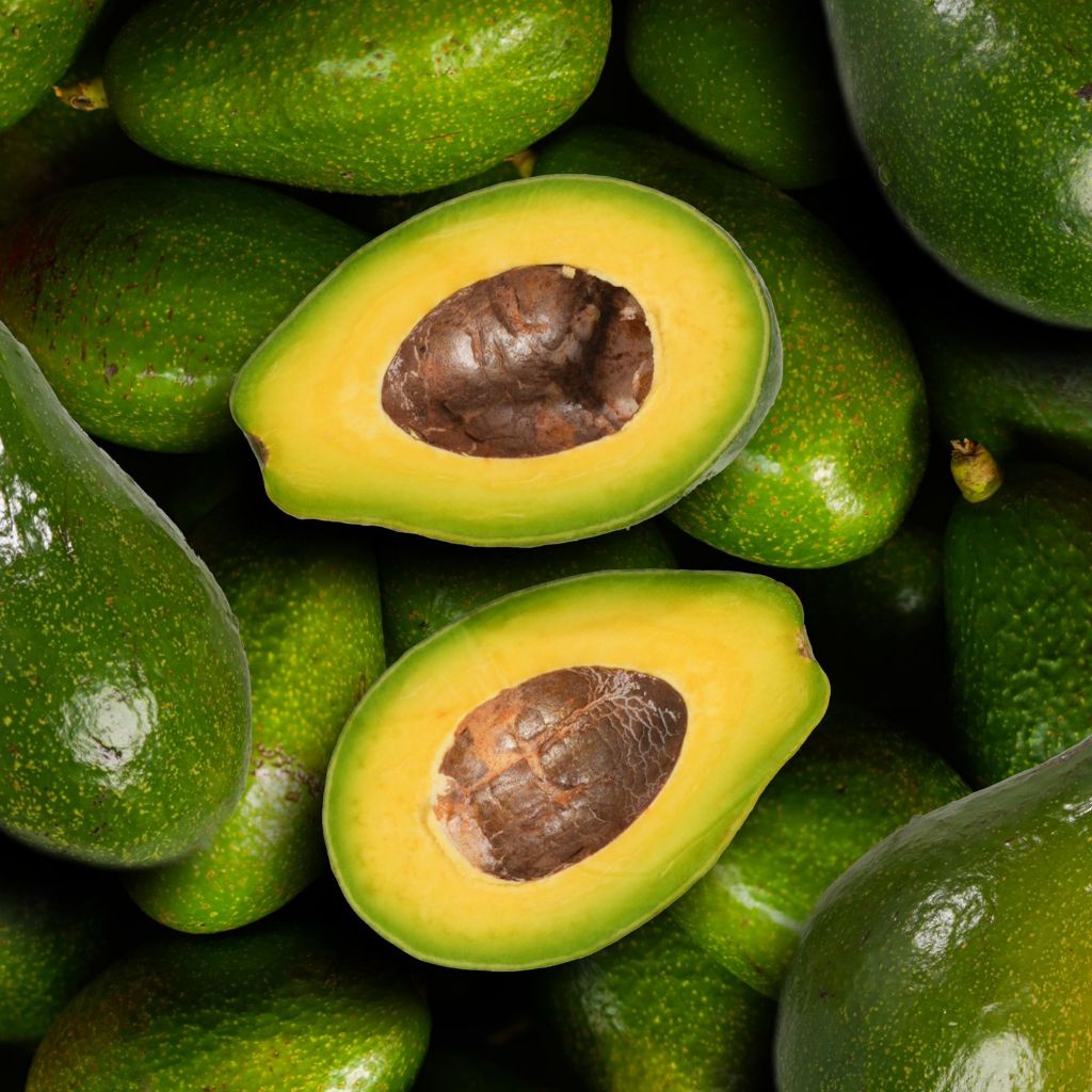 Alpukat Mentega Fresh / Avocado Fresh by Bali Food Industry