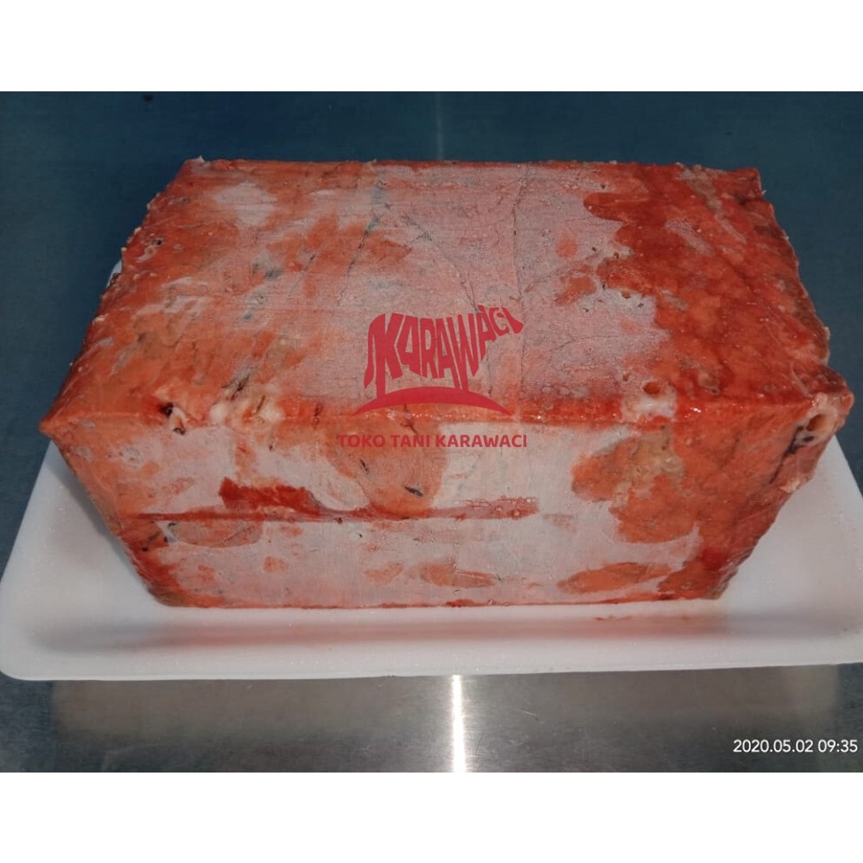 

RUH977 COD TERMURAH Daging Paru Sapi Lung