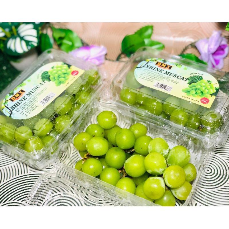 

ANGGUR HIJAU MUSCAT / ANGGUR HIJAU MANIS