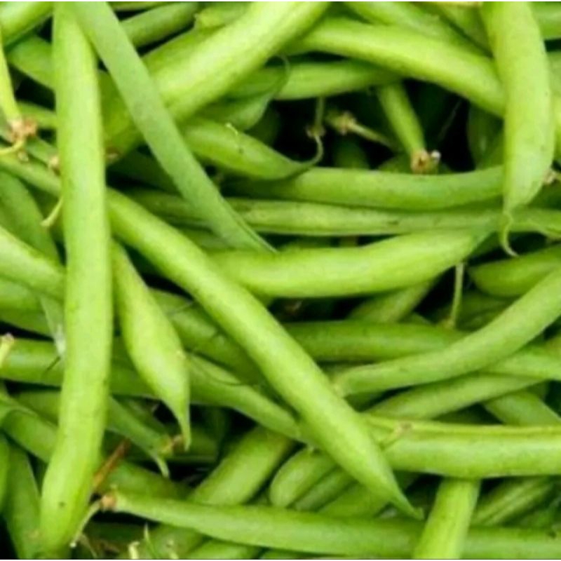

Buncis 500 gram