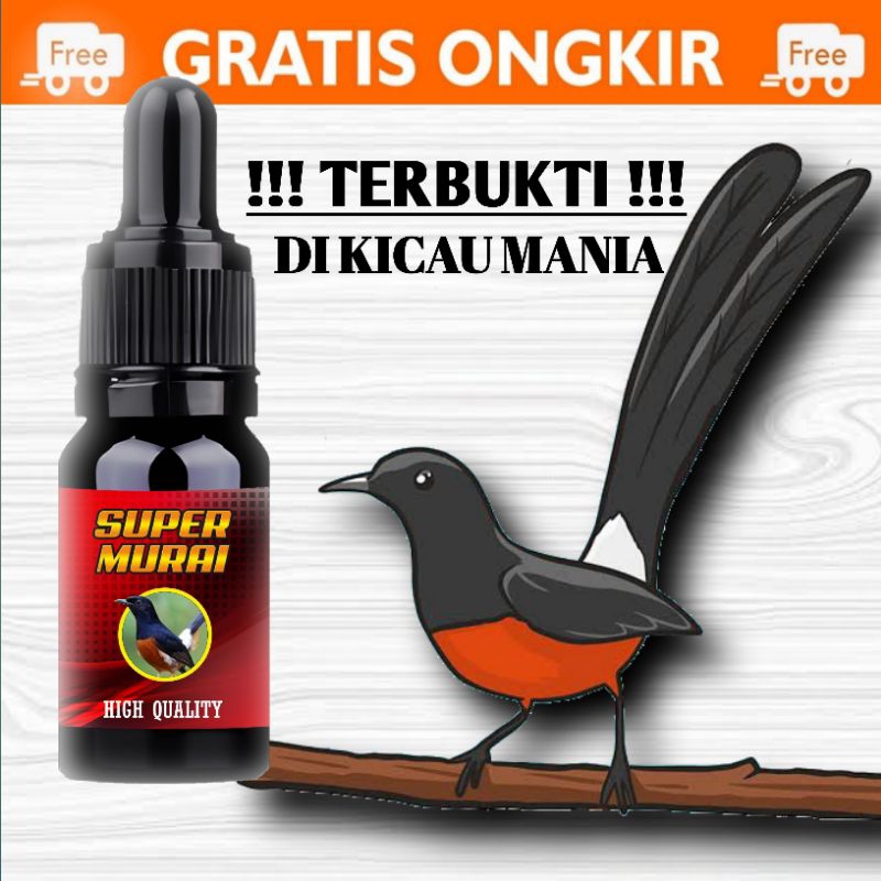 Vitamin burung murai batu cepat gacor atasi macet malas berkicau - Burung murai - vitamin murai - vi