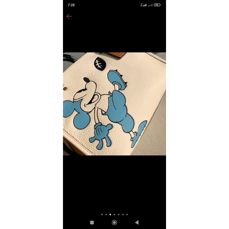 Mickey Mouse Coach Rogue 25