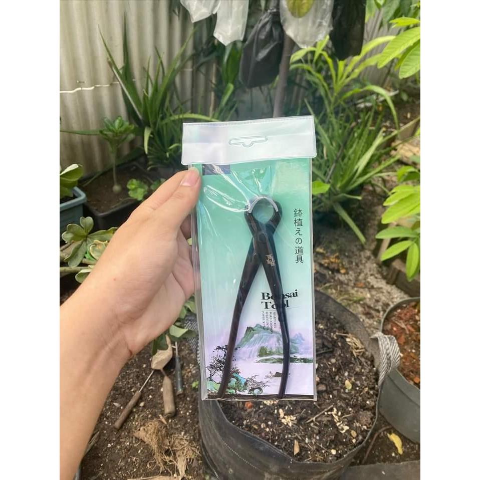 Catok bonsai cembung 18 cm brand maxwam catut cembung bonsai alat bonsai