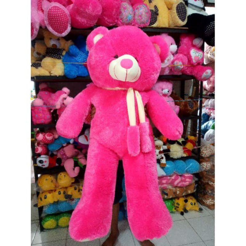 Boneka Jumbo Teddy Bear Beruang 1,2 Meter Boneka Beruang