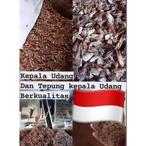 Hobi yang Mendalam Tepung Kepala Udang Murni 1 persen Asli kemasan 1 kg  tepung kepala udang Protein