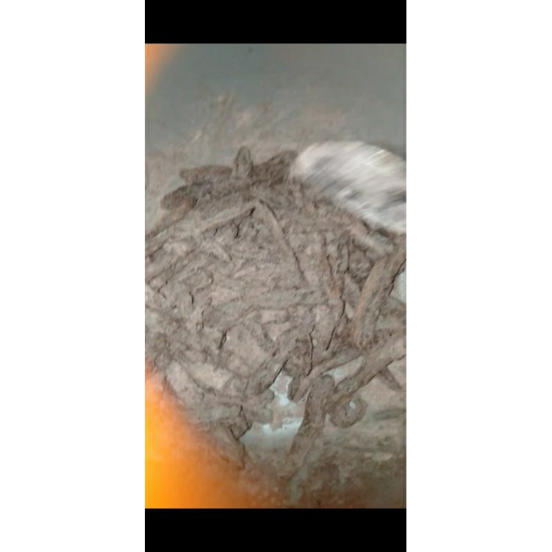 

NAZA PISANG SALAI COKLAT DINGIN BERSALJU CEMILAN ENAK BIKIN NAGIH BANYAK DAN MURAH 1000g