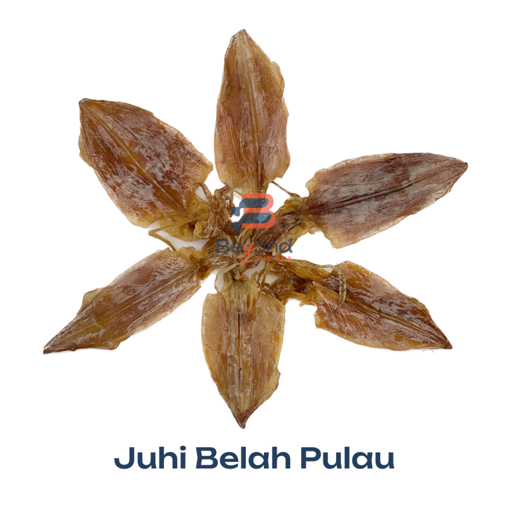 

Sotong/Juhi Belah Pulau (100Gr) | beyondthesea