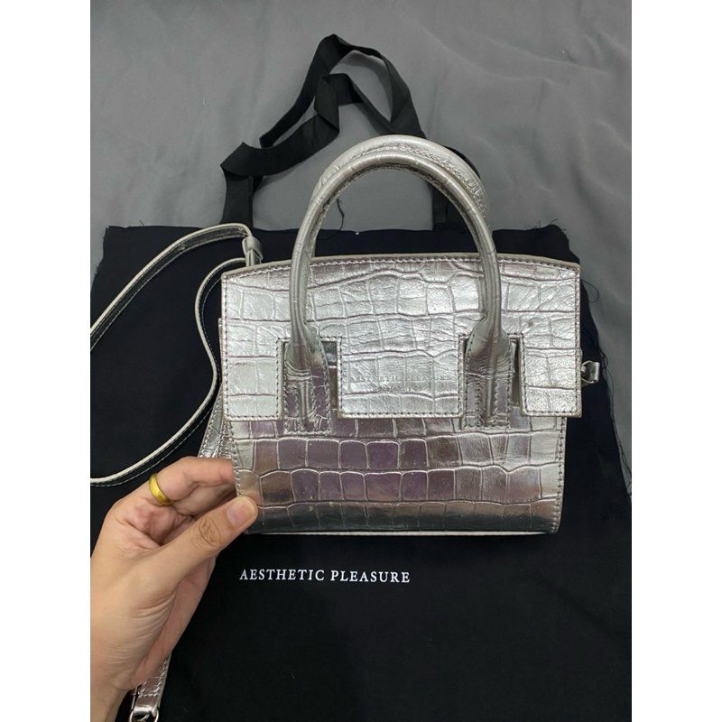 Aesthetic Pleasure Micro Isolation Croc Silver (preloved)