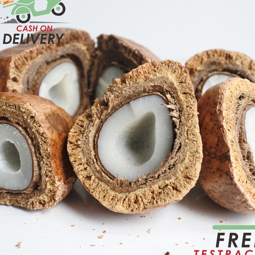 

99 BRANDS FESTIVAL Buah Zuriat Mesir Belah 1 Kg Doum Belah Promil Asli Siap Konsumsi Original