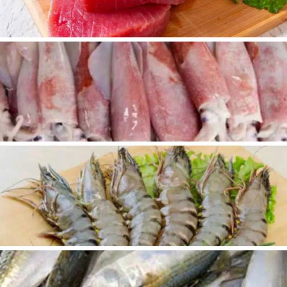 

1111 Udang Ikan Tuna Ikan Kembung Banjar Tongkol Cumi Cakalang Selar Kuning