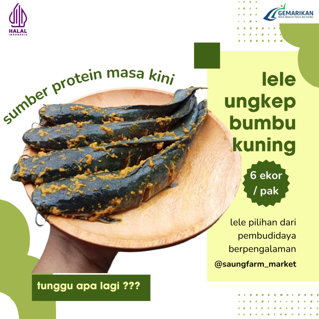 

ikan lele bumbu kuning siap masak 6 ekor