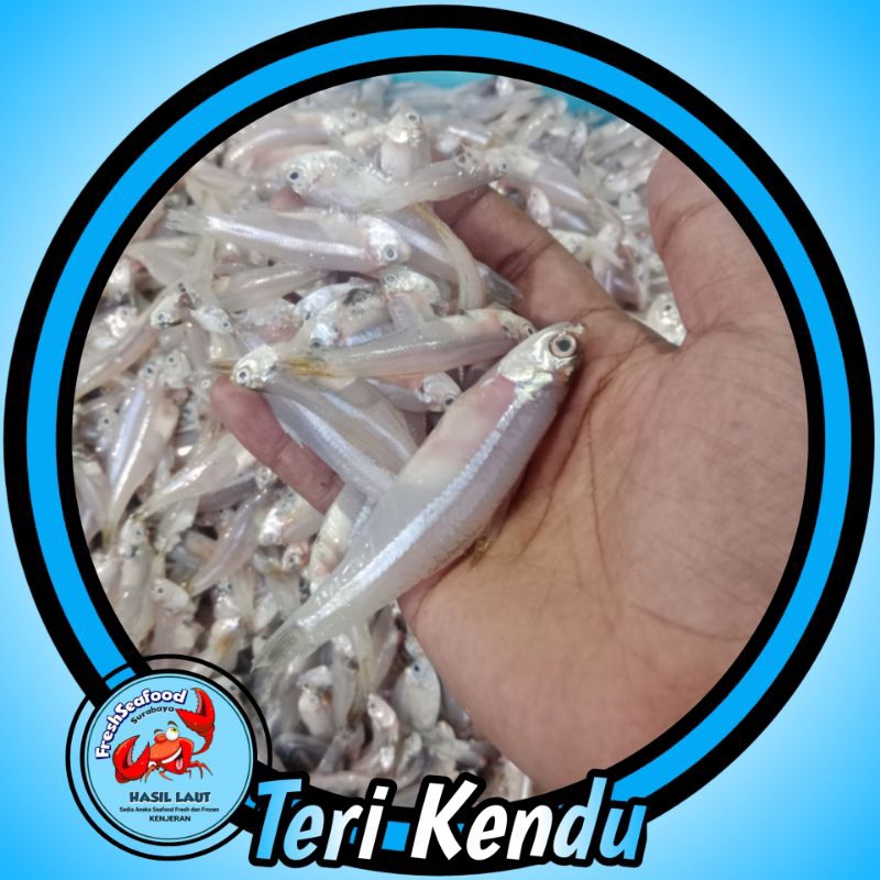 

TERI KENDU SEGAR 1kg