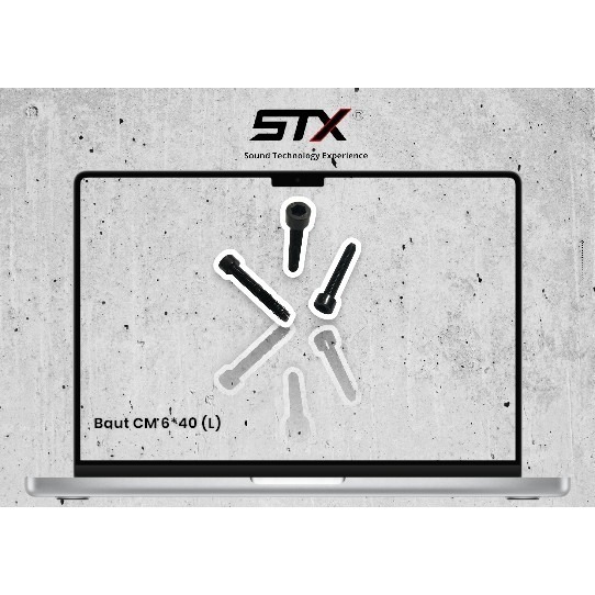 STX - BAUT : Baut CM6*40 (L)