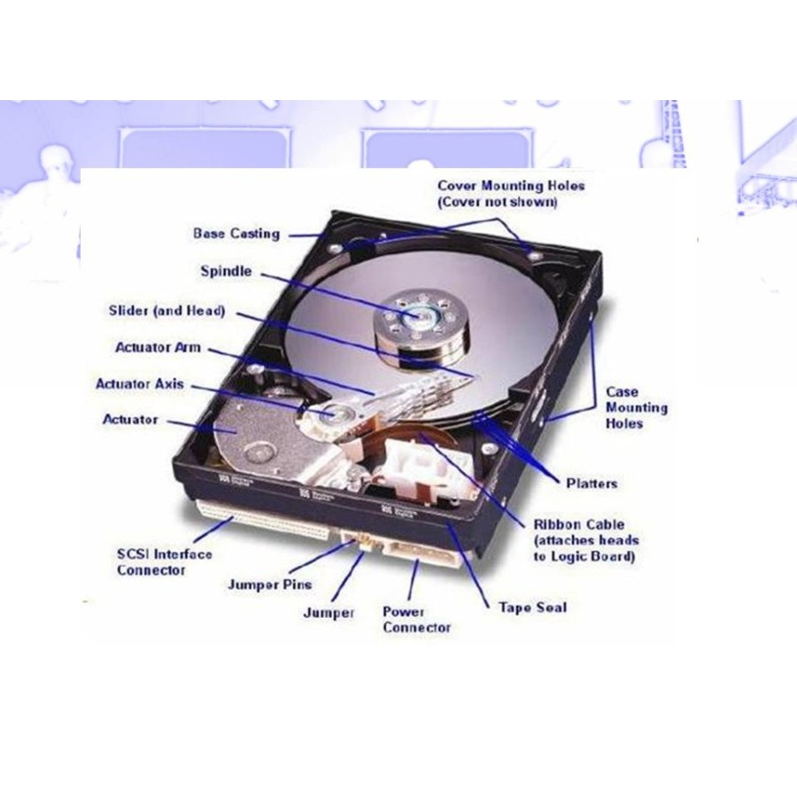 Hardisk 500GB Sata Slim I HDD 500 GB I HDD 1TB - 500GB