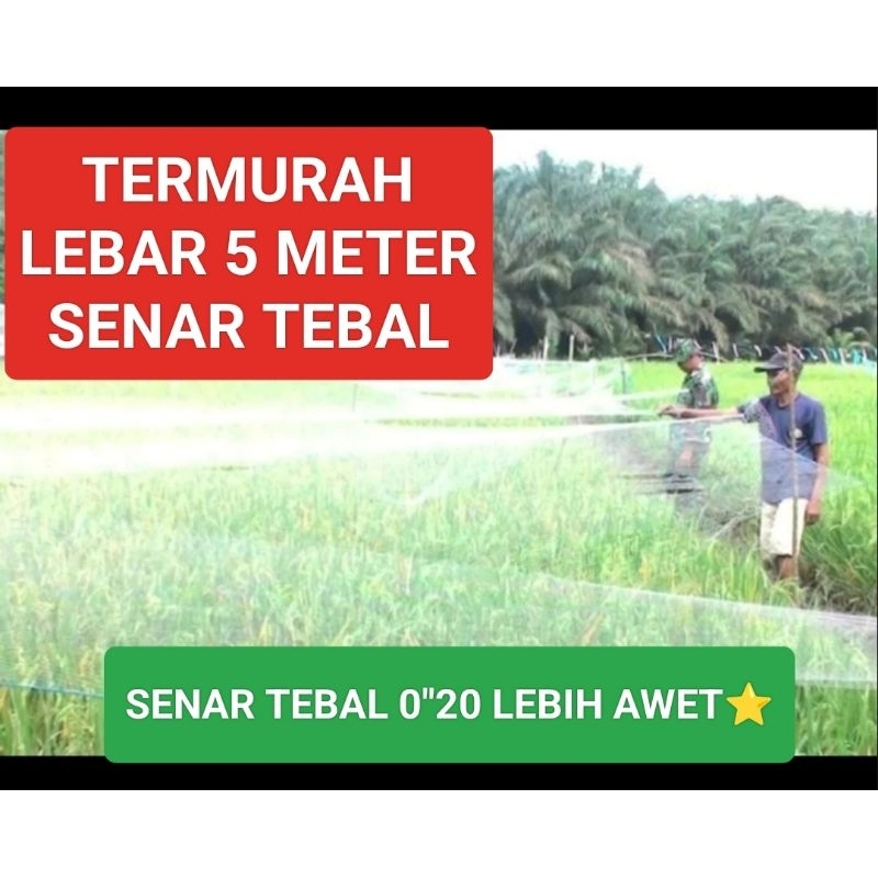 JARING BURUNG PIPIT BURUNG SAWAH/ PERKUTUT/ KELELAWAR/ TEKUKUR/ PELINDUNG BAWANG HIGH QUALITY UKURAN
