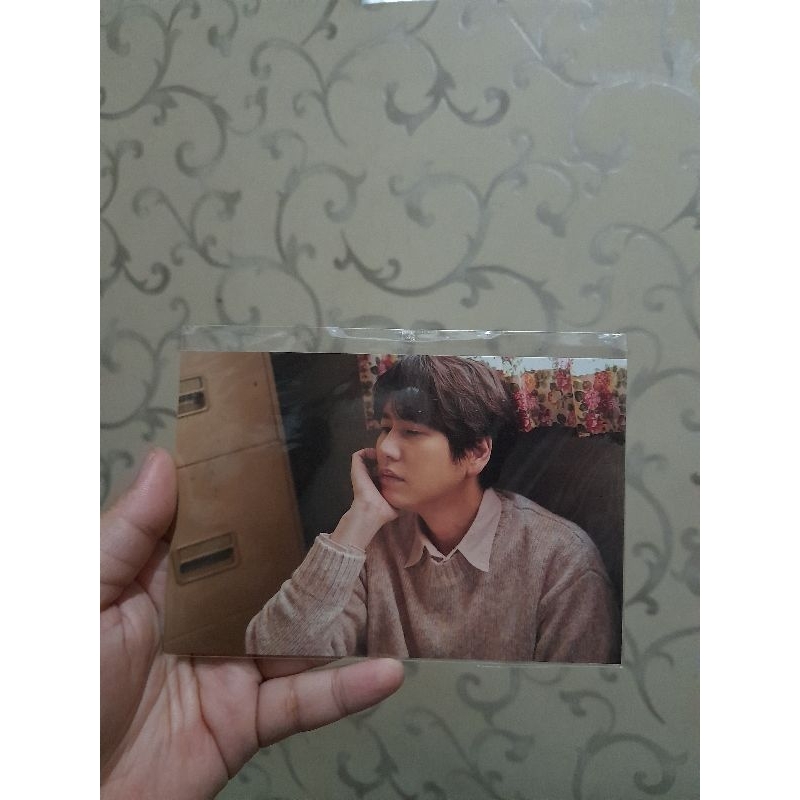 Official Postcard Super Junior Kyuhyun