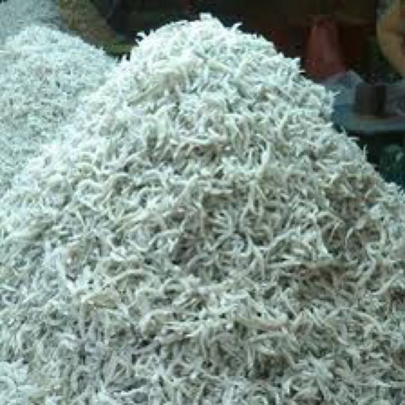 

TERI MEDAN SUPER