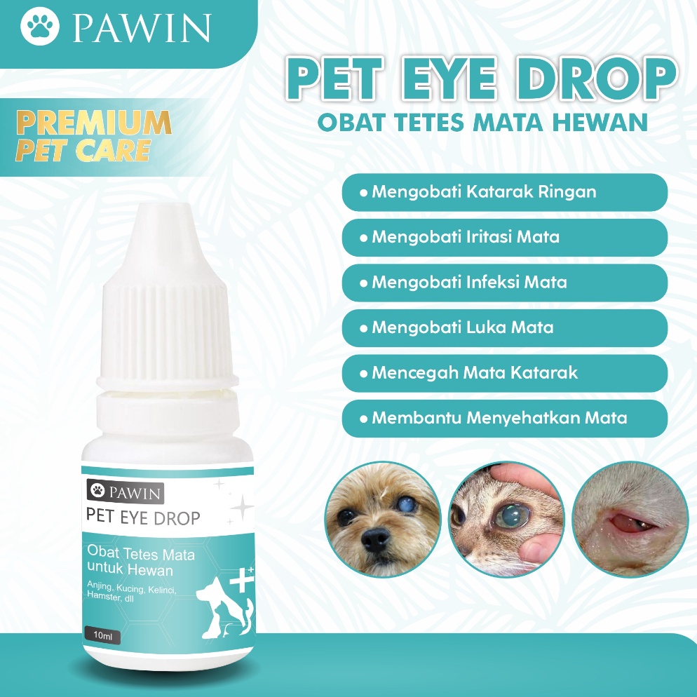Big Sale Tetes Mata Luka Katarak Anjing Kucing Mata Iritasi Mata