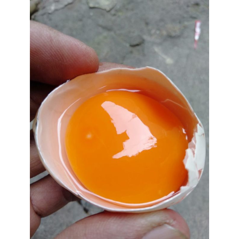 

telur ayam kampung omega