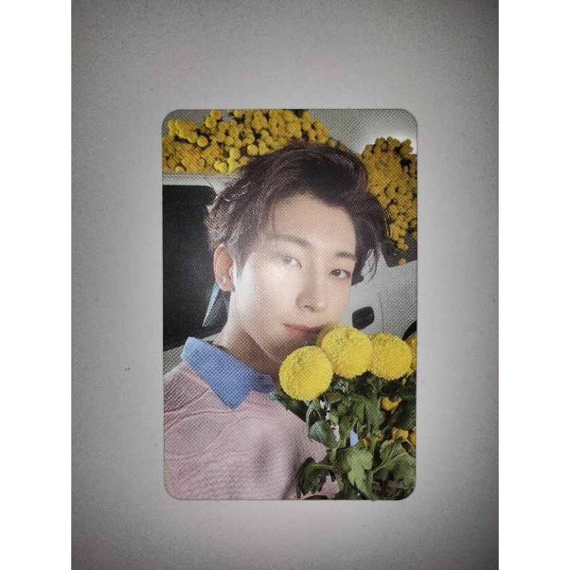 PC Wonwoo your choice SVT One side ver Photocard Official Seventeen Wonu