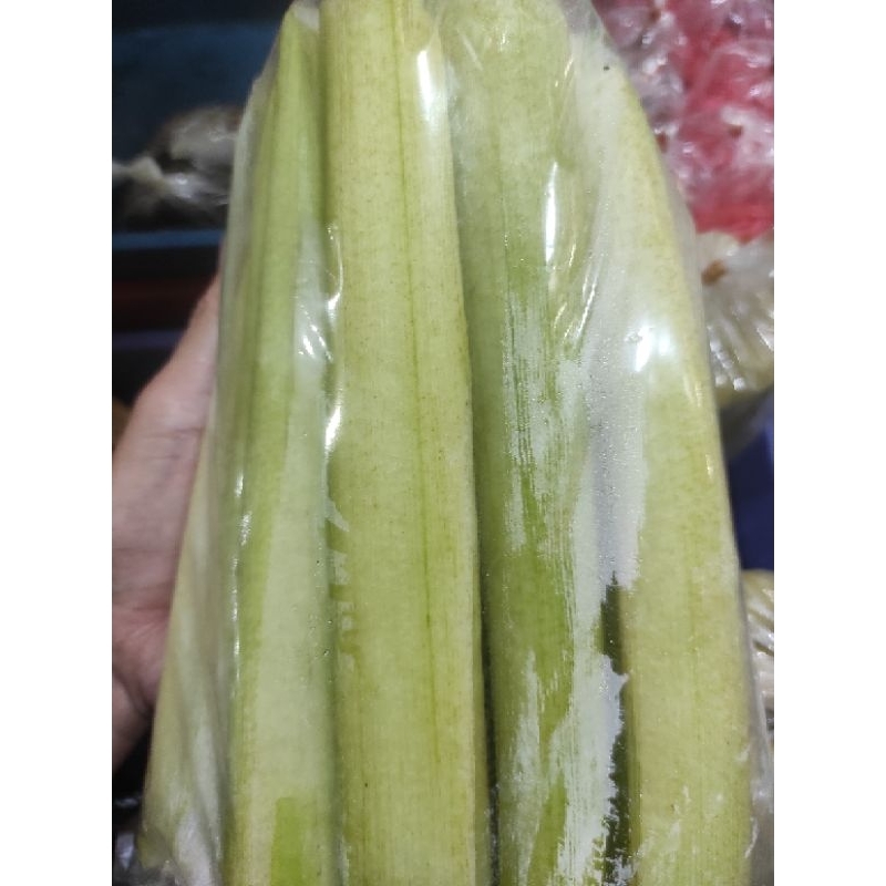 

BATANG TALAS MUDA PER BUNGKUS / JAMIN SEGAR