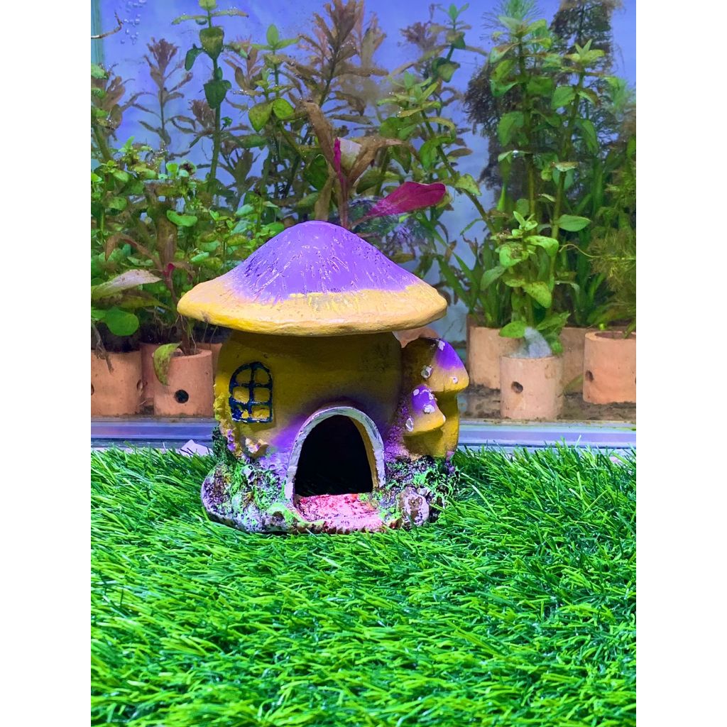 Hiasan Aquarium JAMUR | Mainan JAMUR Aquarium | Mainan RUMAH JAMUR | Hiasan Fiber