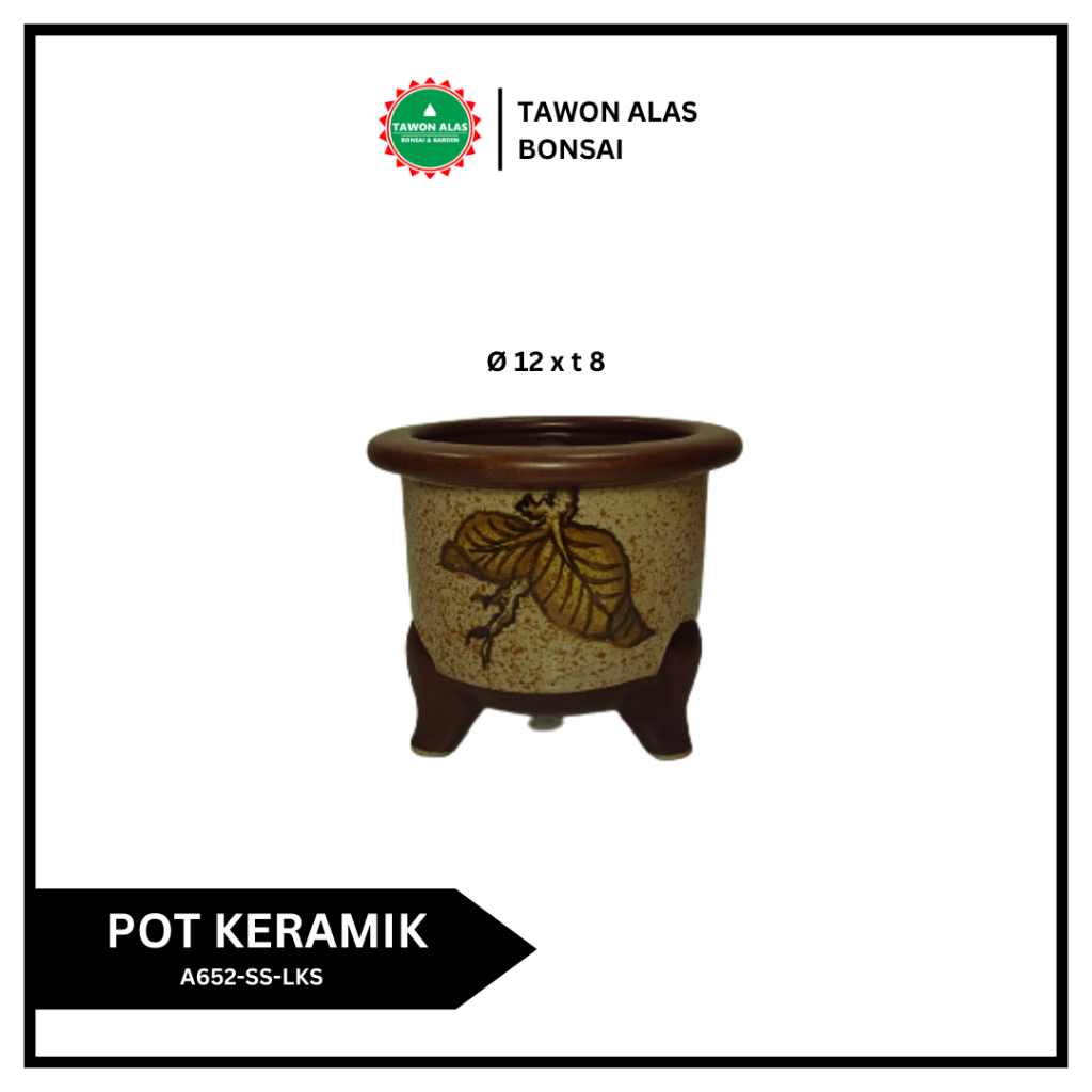 Pot Bonsai Keramik Bagus Unik Small