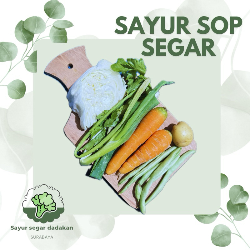 

PAKET SAYUR SOP LENGKAP SEGAR