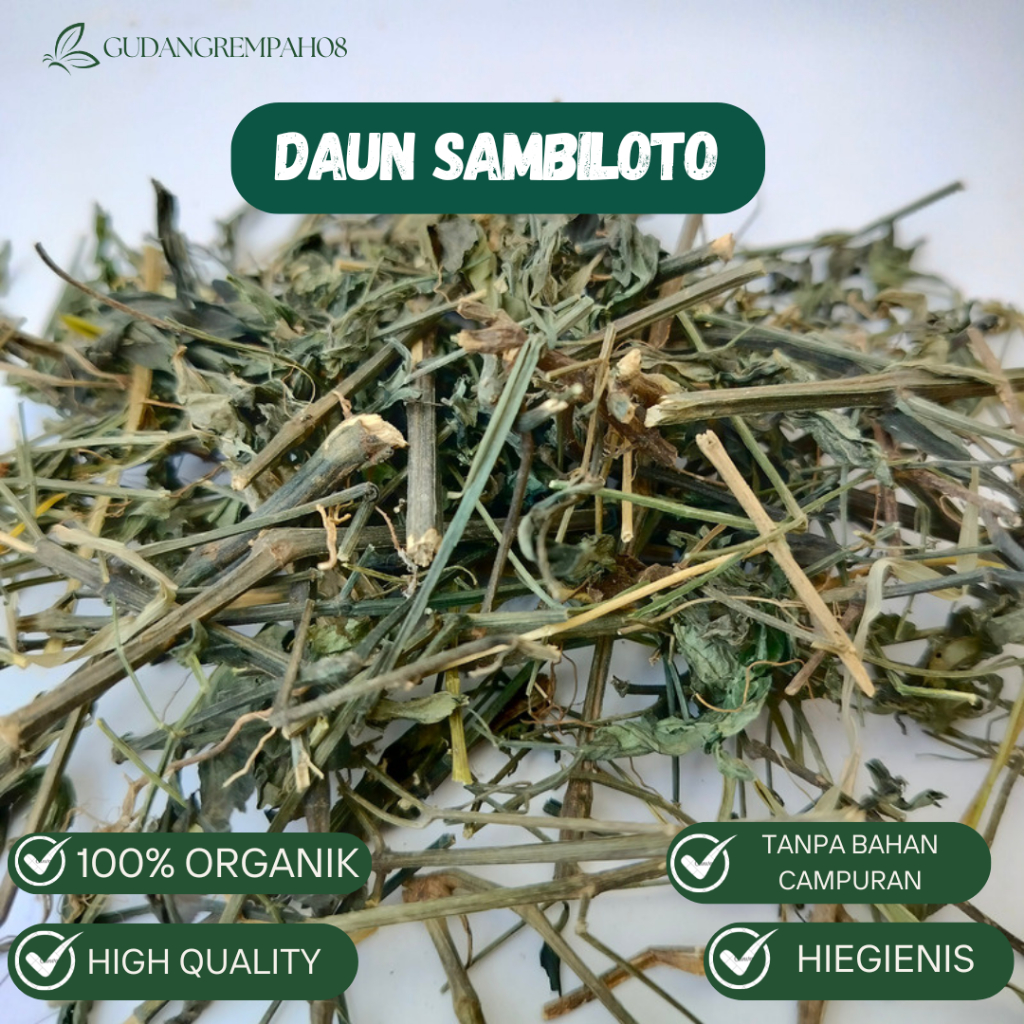 

Daun Sambiloto Kering Kemasan 100 Gram