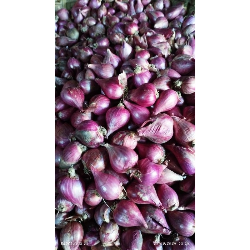 

Bawang Merah Brebes Super