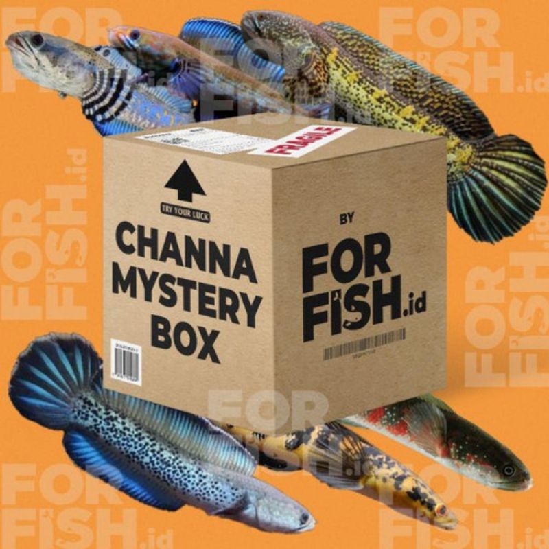 Mistery box channa anti channa limbata anti zonk