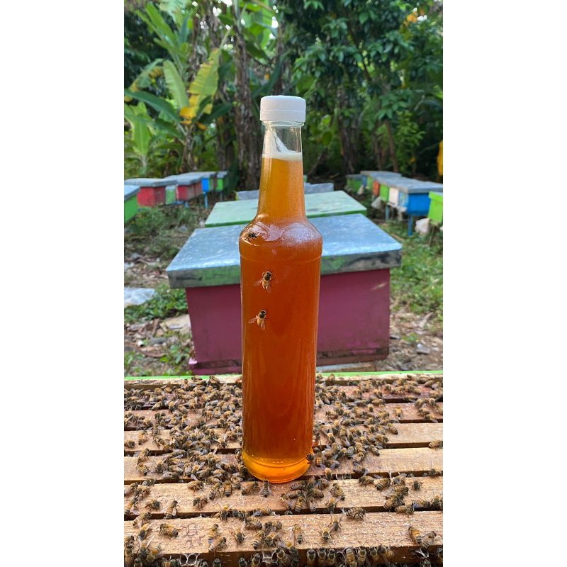 

Paket 2 botol madu murni - madu murni king lemon