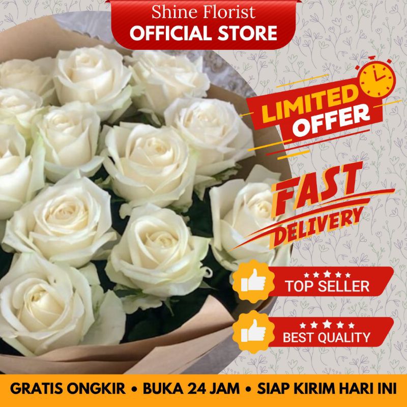 Shine Florist - Bunga Potong Segar - Mawar Putih Avalanche - Semi Holland