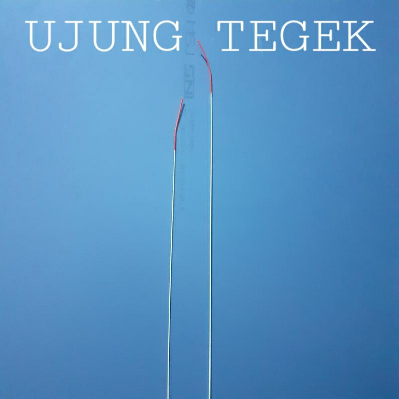 UJUNG TEGEK /Pucuk Joran/Pucuk Palesan Bahan Fiber Optik ukuran 50cm