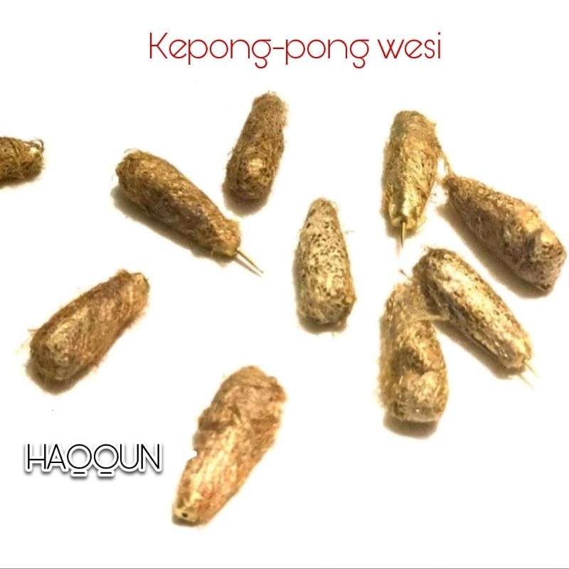 

Kepongpong Wesi Kuningan Asli