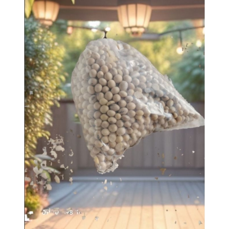 

kacang kedelai 1000 grm 500gram. 250 grm