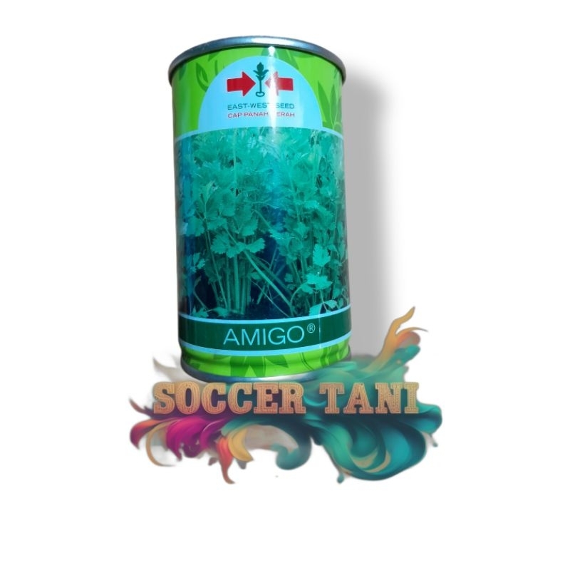 Benih seledri amigo 50gram kaleng