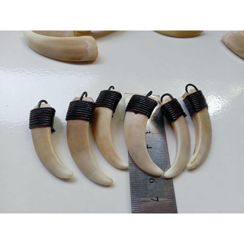 Kalung etnik taring babi mini