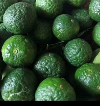 

limo limau segar 500 gr