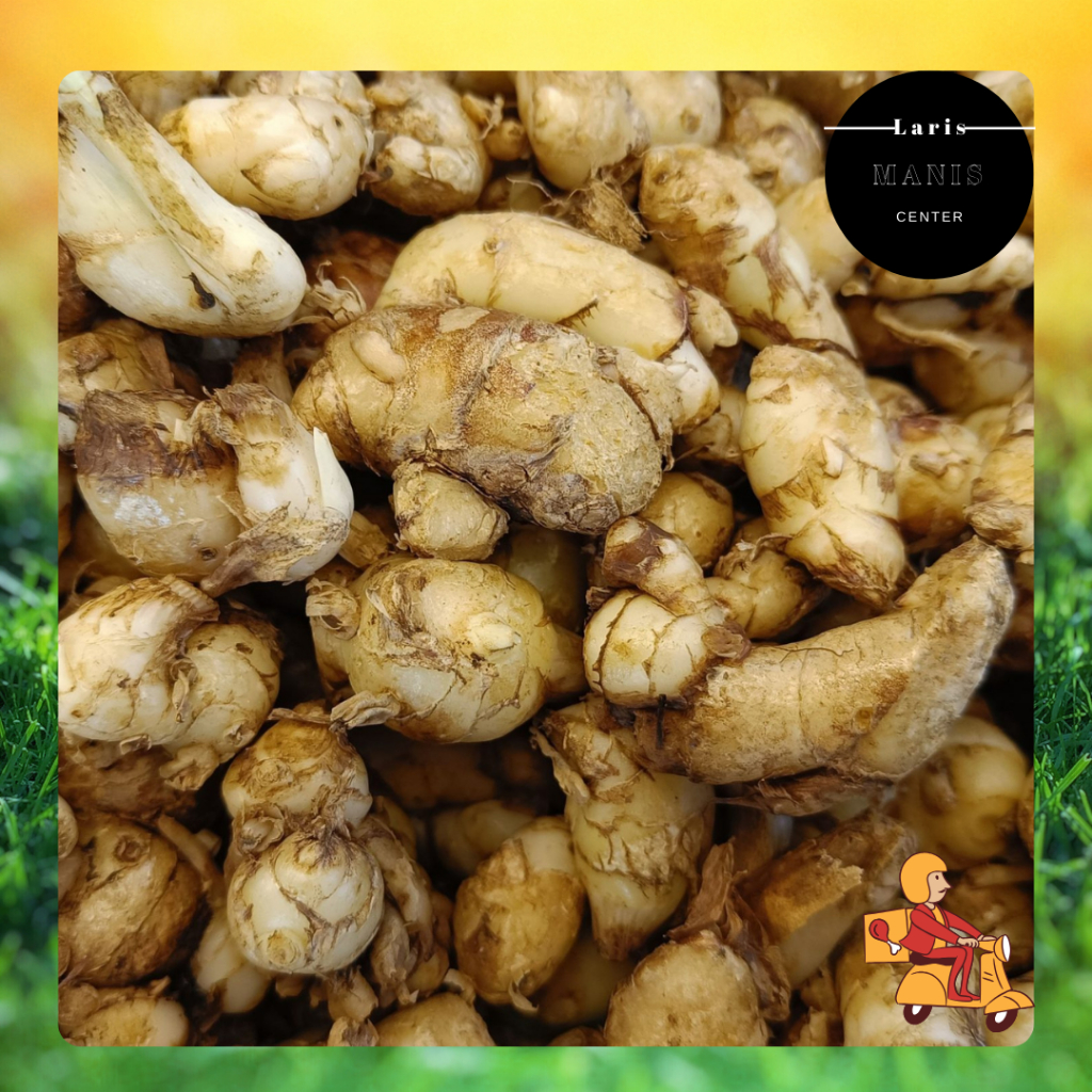 

KIRIM INSTAN Kencur Segar- BANDUNG